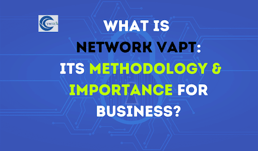 What is Network VAPT? Its Methodology & Importance for Business
