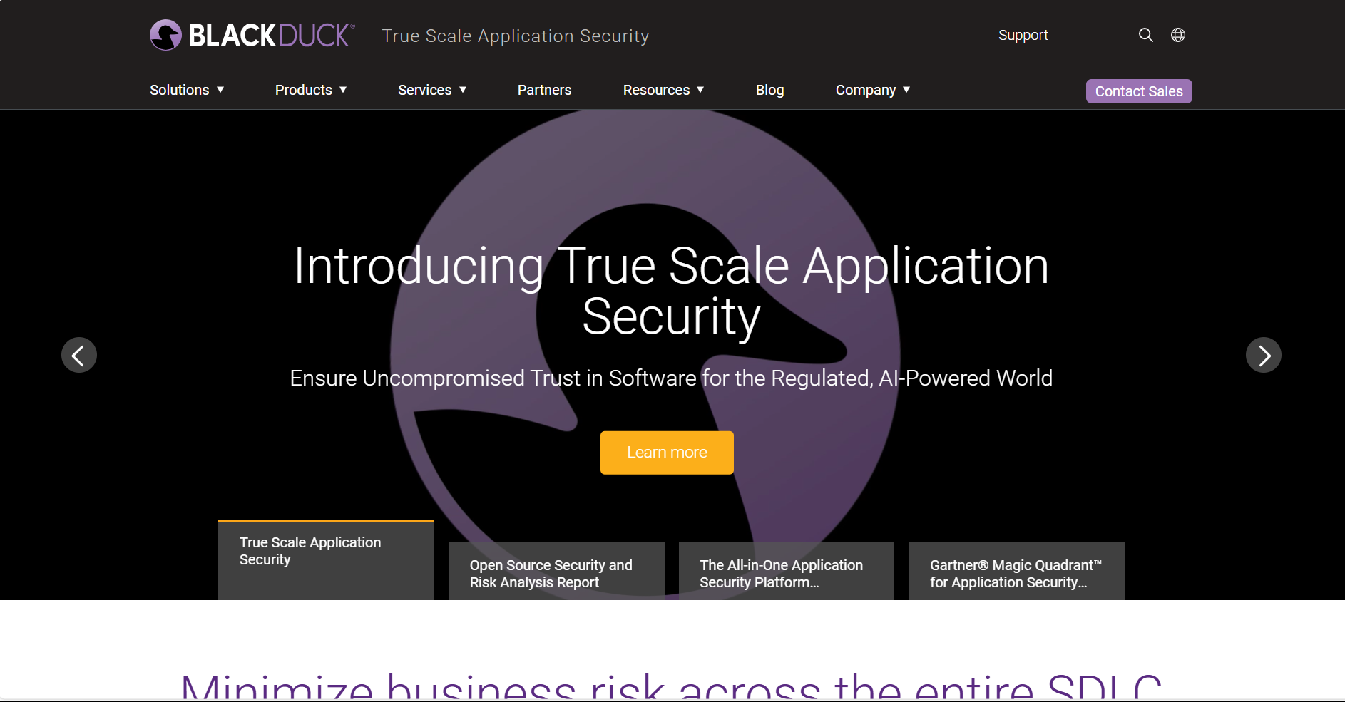 Synopsys Logo