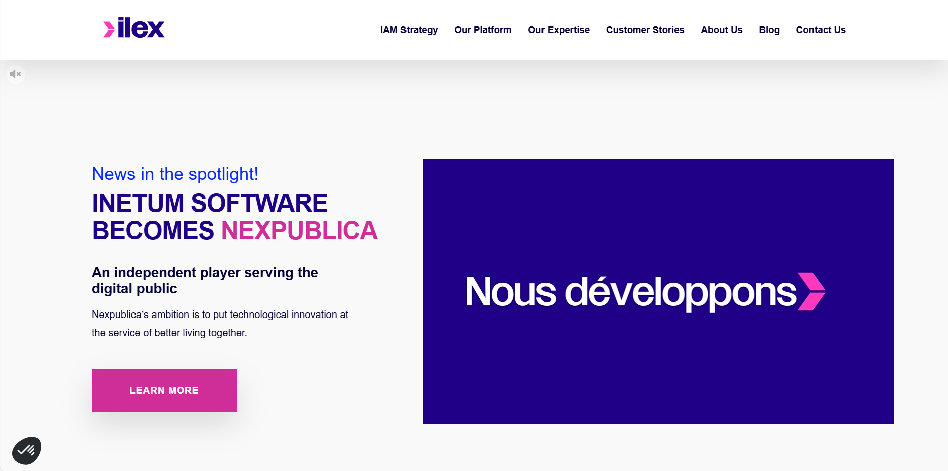 Ilex International Logo