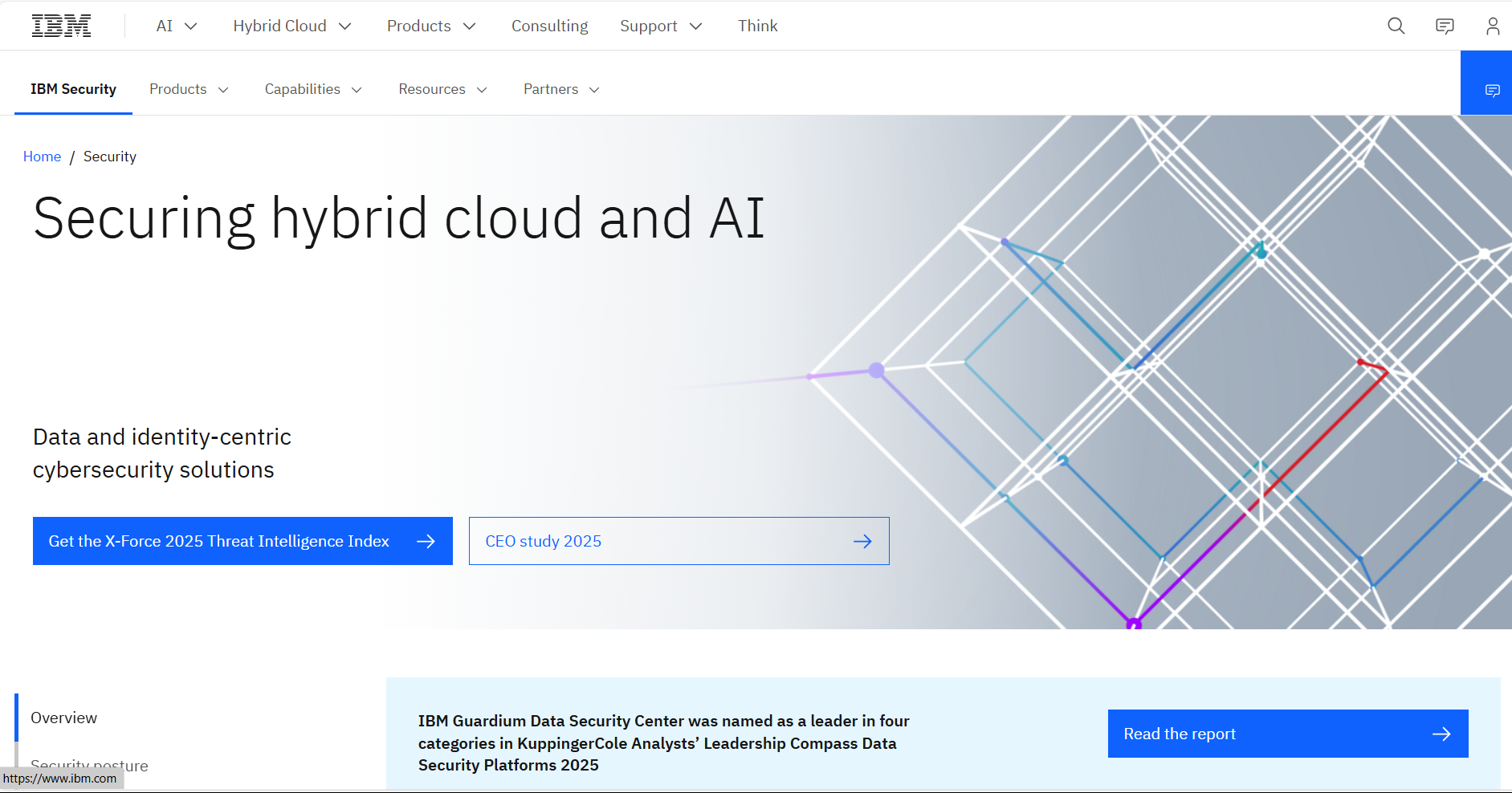 IBM Security Vulnerability Management 2025 Logo